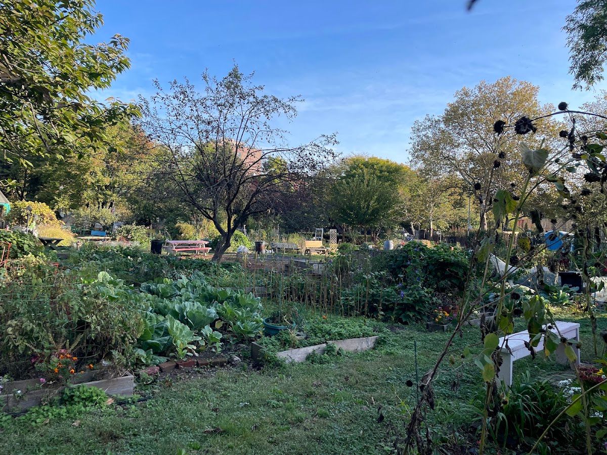 46th Annual GreenThumb Harvest Fair
